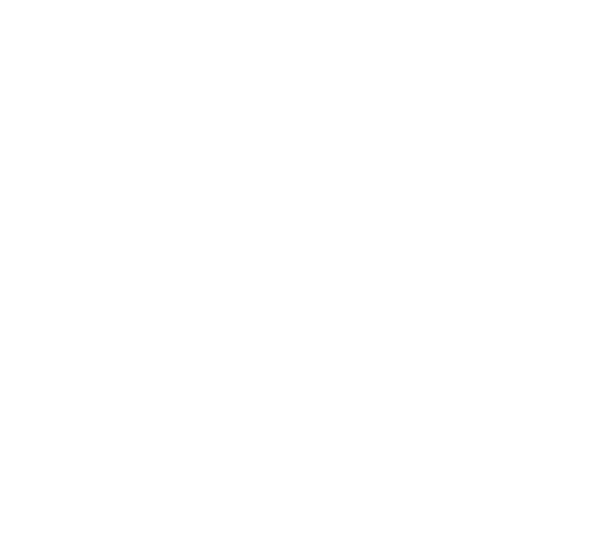 Kundenlogo 1